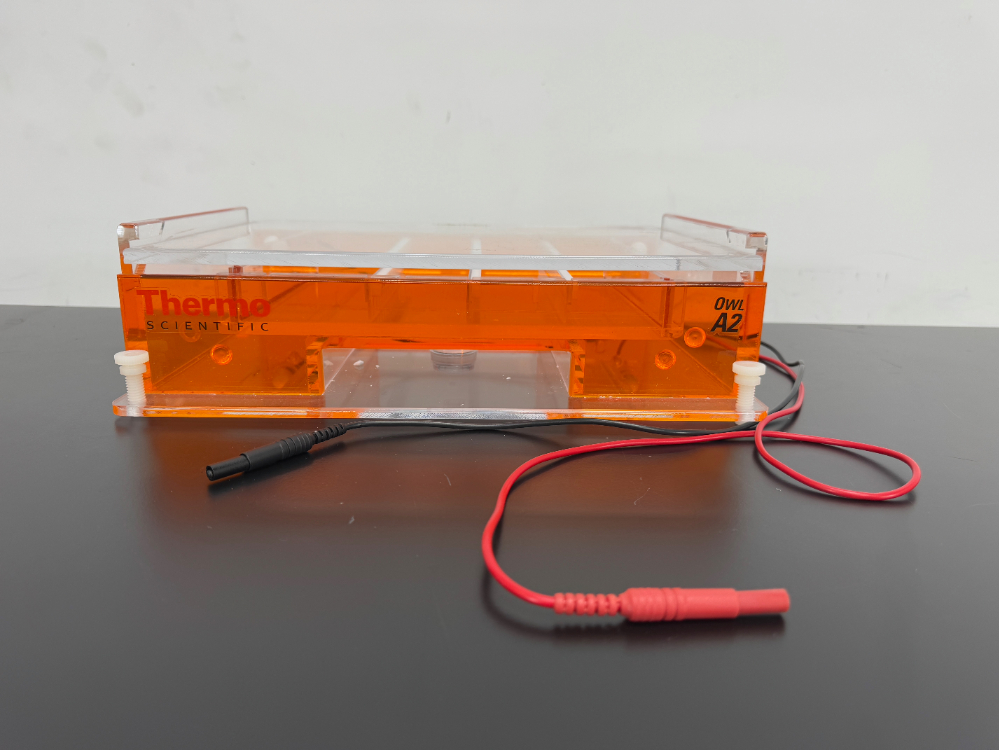 Image of Thermo Scientific Owl A2 Gel System